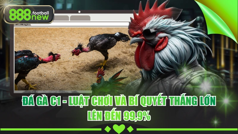 Đá Gà C1 - Đấu Trường Hội Tụ Chiến Kê Mạnh Nhất Năm 2026 5 Đá Gà C1 - Luật Chơi Và Bí Quyết Thắng Lớn Lên Đến 99,9%